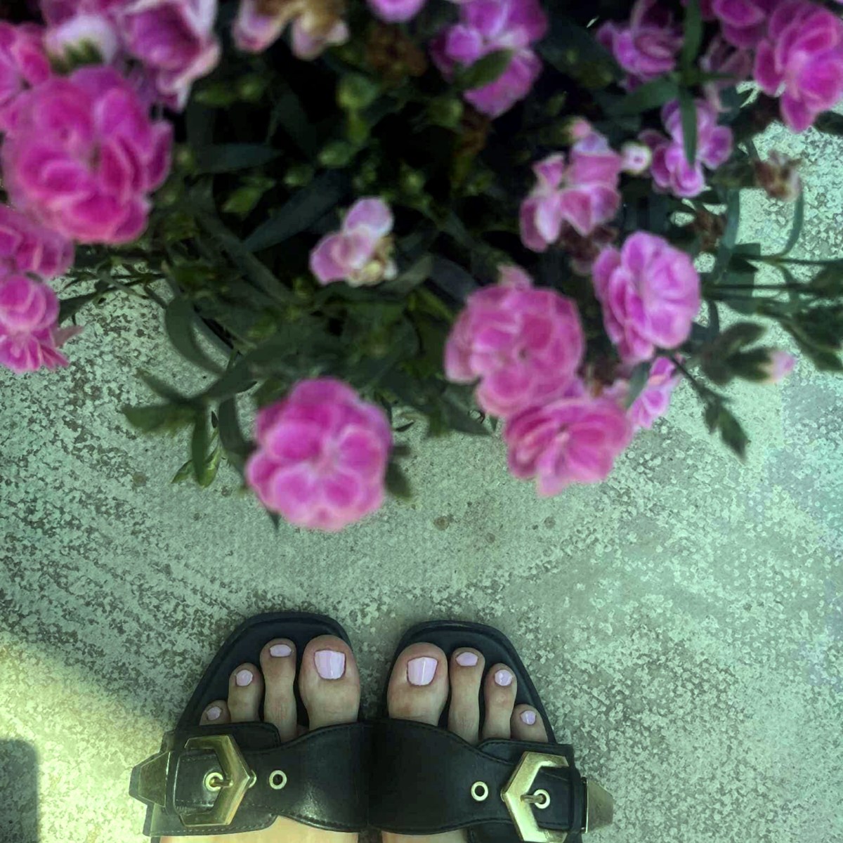 AgiNails work – manicure/pedicure